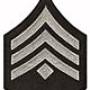 insignia_det_2.jpg